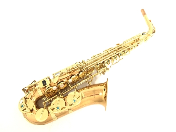 YANAGISAWA A-WO2 アルトサックス ケース付き 管楽器 ヤナギサワ 中古