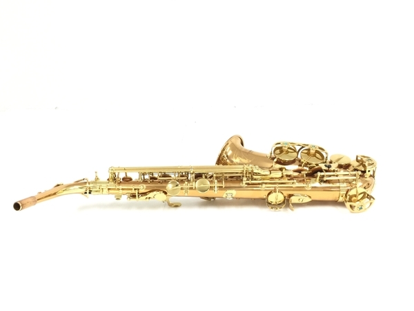 YANAGISAWA A-WO2 アルトサックス ケース付き 管楽器 ヤナギサワ 中古