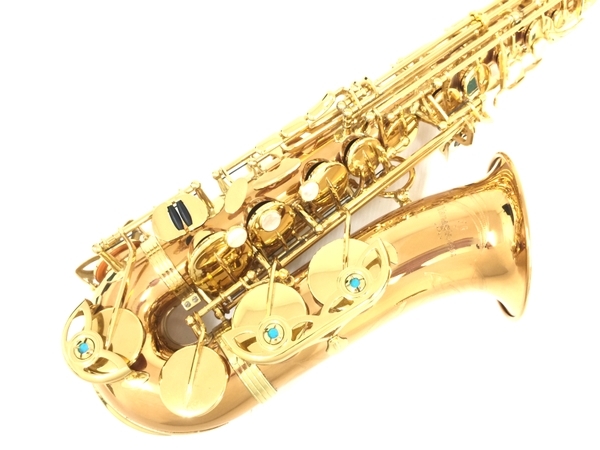 YANAGISAWA A-WO2 アルトサックス ケース付き 管楽器 ヤナギサワ 中古