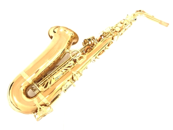 YANAGISAWA A-WO2 アルトサックス ケース付き 管楽器 ヤナギサワ 中古