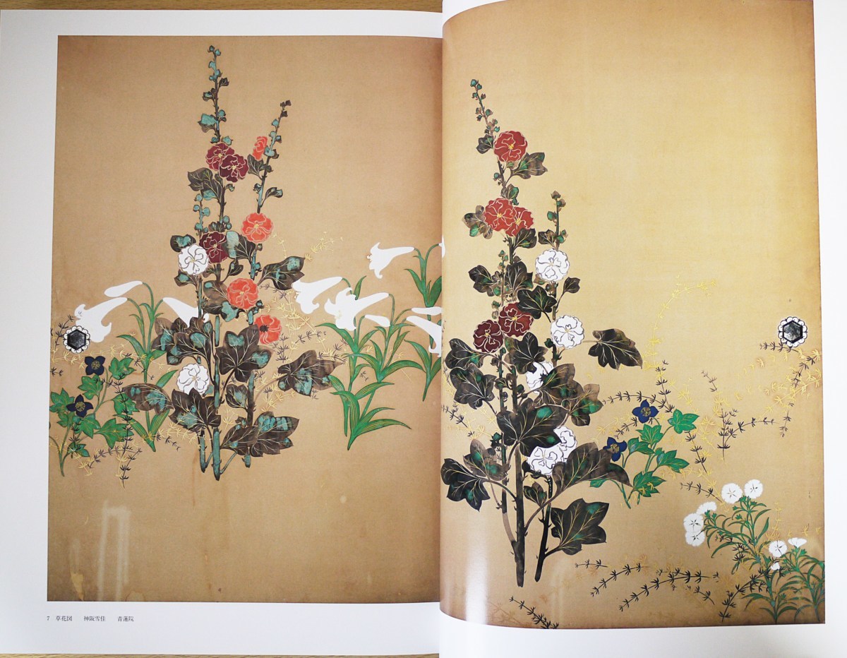 □日本の花鳥画：明治・大正・昭和の画家たち 全6巻揃 京都書院 細野