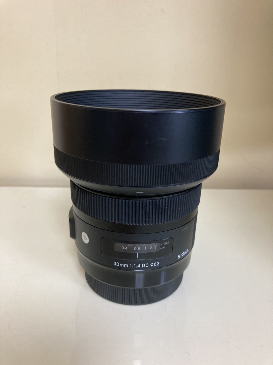 30mm DC Sigma HSM f⁄1.4 Art Lens F1.4 Review | A for Canon -