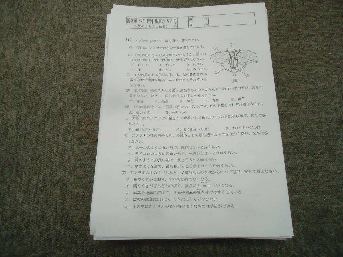 浜学園 小5/5年 理科 Vクラス 復習テスト（実力含む）NO.1～NO.42 実力