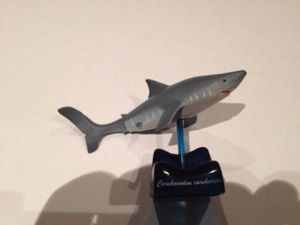 Hsi09lj地球生命紀行サメ 日本近海の生き物ストラップフル8種 Test Contentagenturaustria At