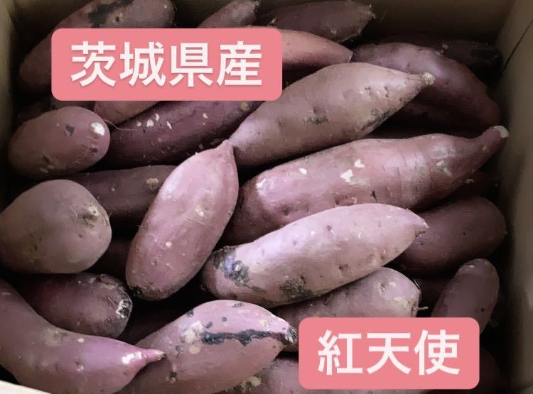 紅天使 さつまいも, 紅天使 冷やし焼き芋 – LKEWUX