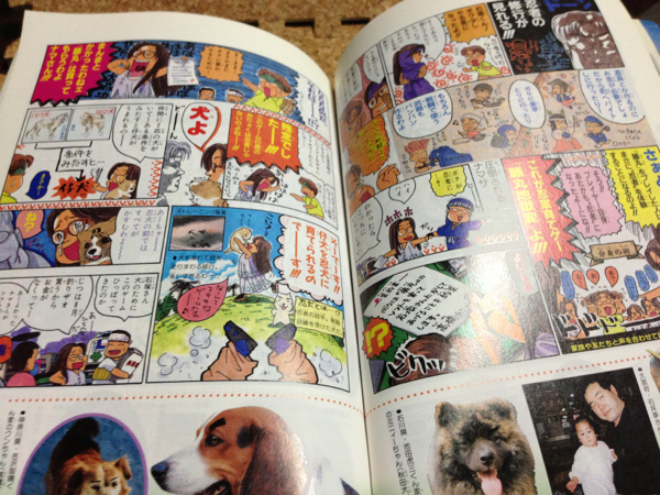 犬マユゲ いこう1 Vジャンプブックス 石塚祐子 高橋ナマサ テレビゲーム 売買されたオークション情報 Yahooの商品情報をアーカイブ公開 オークファン Aucfan Com