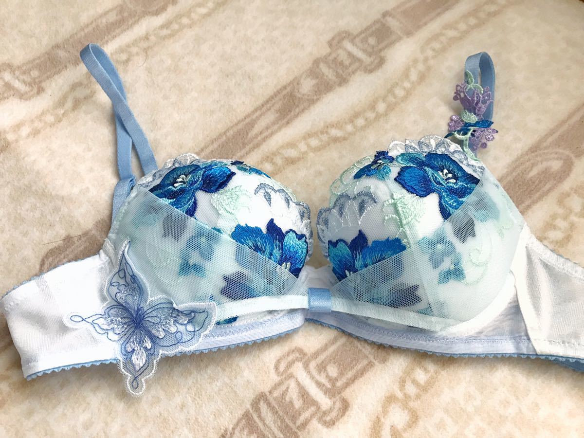 サルート E65×M WACOAL salute サルート E65/M