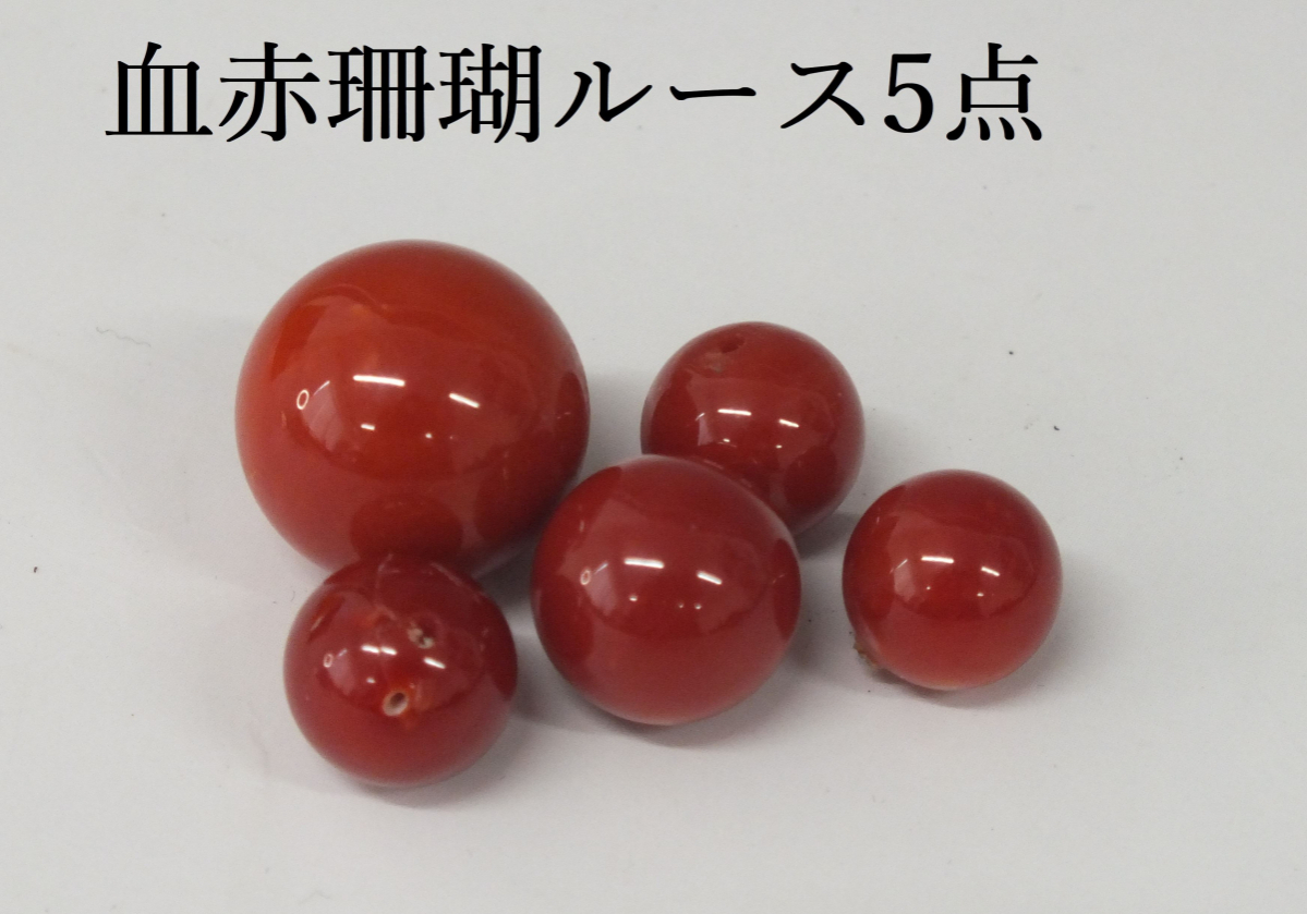 血赤珊瑚ルース 5点 最大15.5㎜玉 本珊瑚/サンゴ/さんご(裸石、ルース