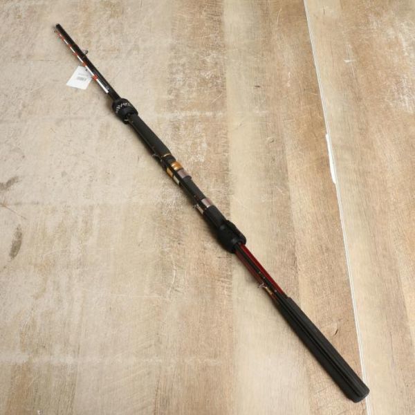 アナリスターヤリイカ | アナリスターヤリイカ(ロッド)｜DAIWA 22,500