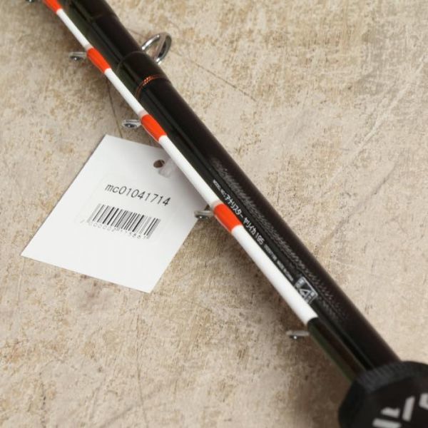 アナリスターヤリイカ | アナリスターヤリイカ(ロッド)｜DAIWA 22,500