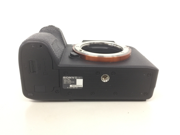 SONY α7 III ILCE-7M3 本体 ミラーレス一眼 fe70-200 ソニー SONY