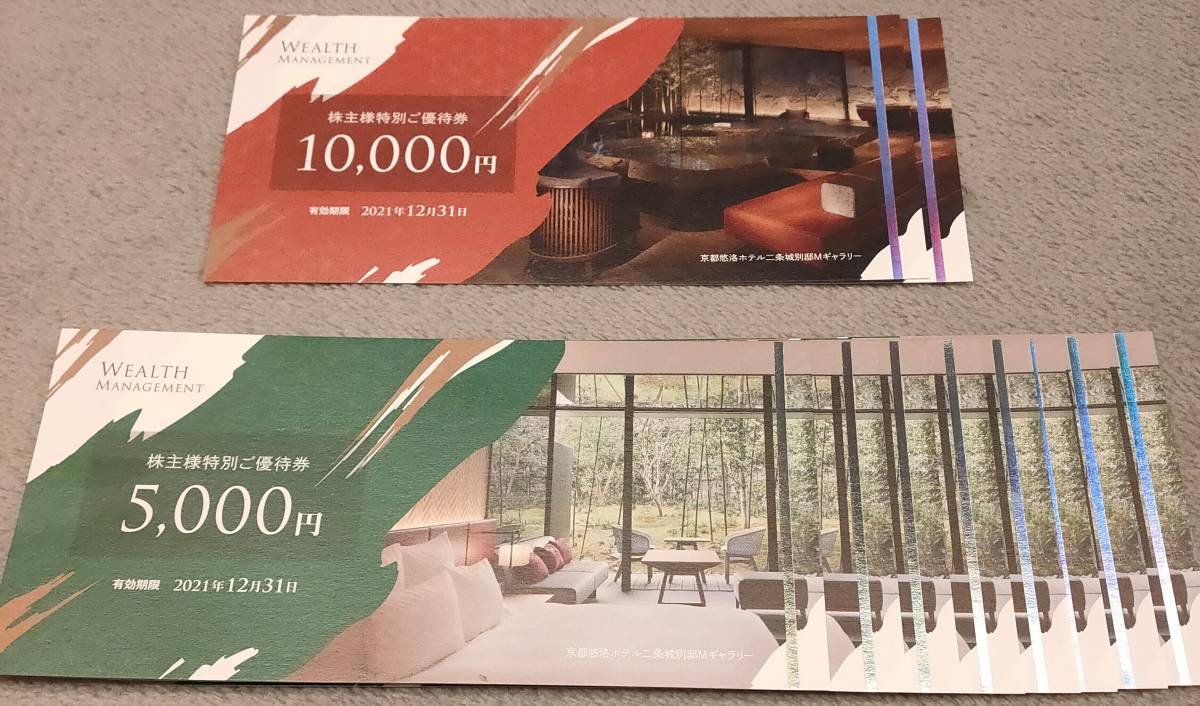 ネコポス WEALTH ウェルス 株主優待券6万円＋おまけ(施設利用券