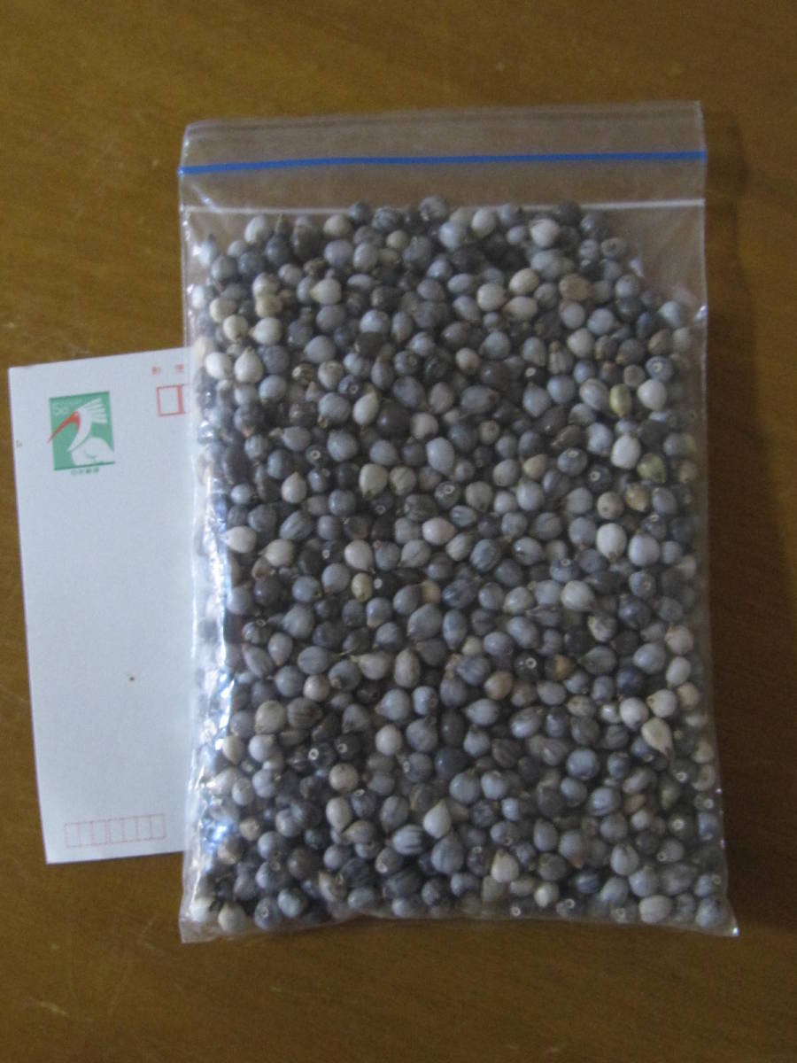 数珠玉 お手玉 400ｇ 品質良好 手作り 小物 材料 天然 ブレスレット ハンドメイド 手工芸 まとめて 大量 詰合 格安 まとめ売り じゅず ハンドクラフト 手工芸 売買されたオークション情報 Yahooの商品情報をアーカイブ公開 オークファン Aucfan Com