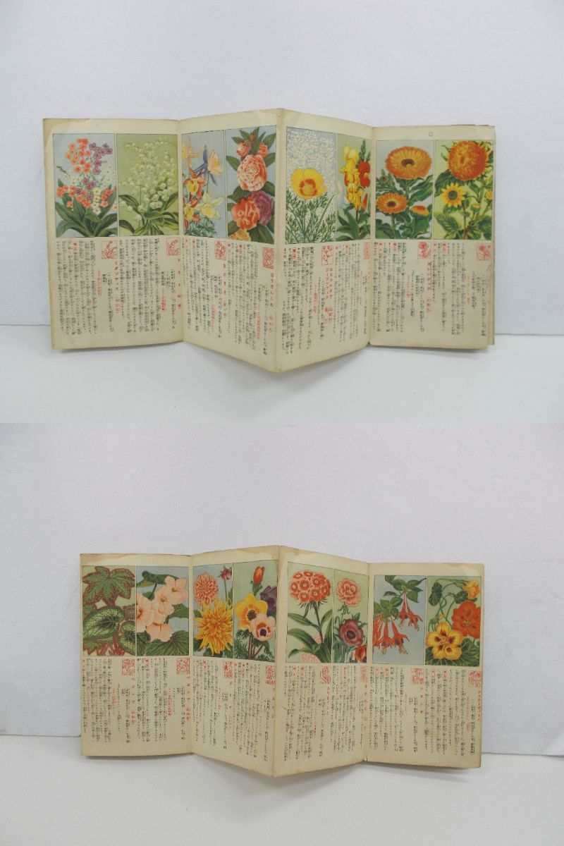 戦前 昭和6年 主婦の友附録 家庭園芸 草花と野菜の作り方 村越三千男