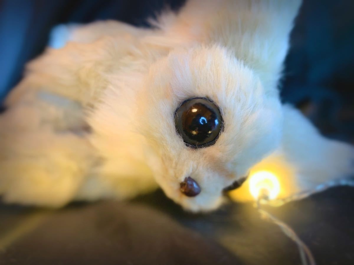 アートドール 黄ネコ幻獣 羊毛フェルト アートドール 黄トリ幻獣 羊毛