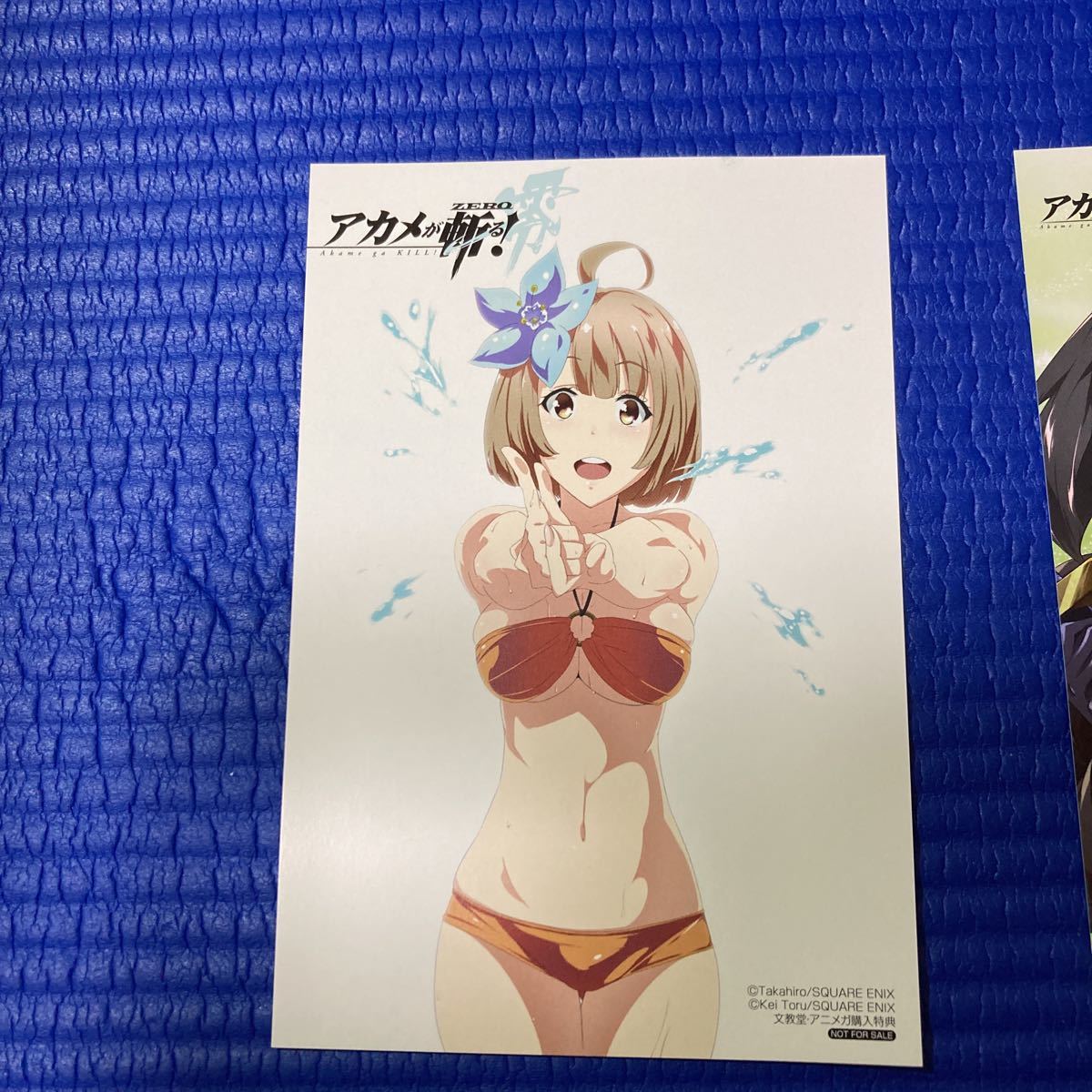 アカメが斬る 零 全10巻 店舗購入特典9点 全巻セット 売買されたオークション情報 Yahooの商品情報をアーカイブ公開 オークファン Aucfan Com