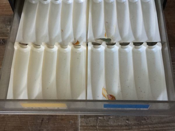1/23G3si 貴重☆サクラ☆マット水彩☆陳列ケース☆単色☆16色☆陳列棚