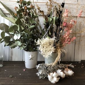 高速配送 Sold 6 ドライフラワー 花材 訳あり パンパスグラス 早割クーポン