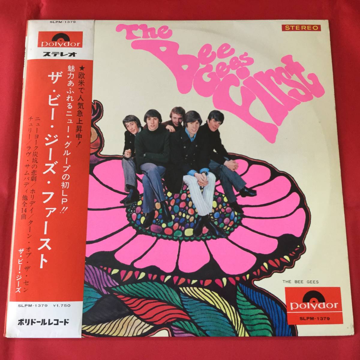 Gees Bee - ⁄ 1st | : bee Yahoo!オークション ビー・ジーズ