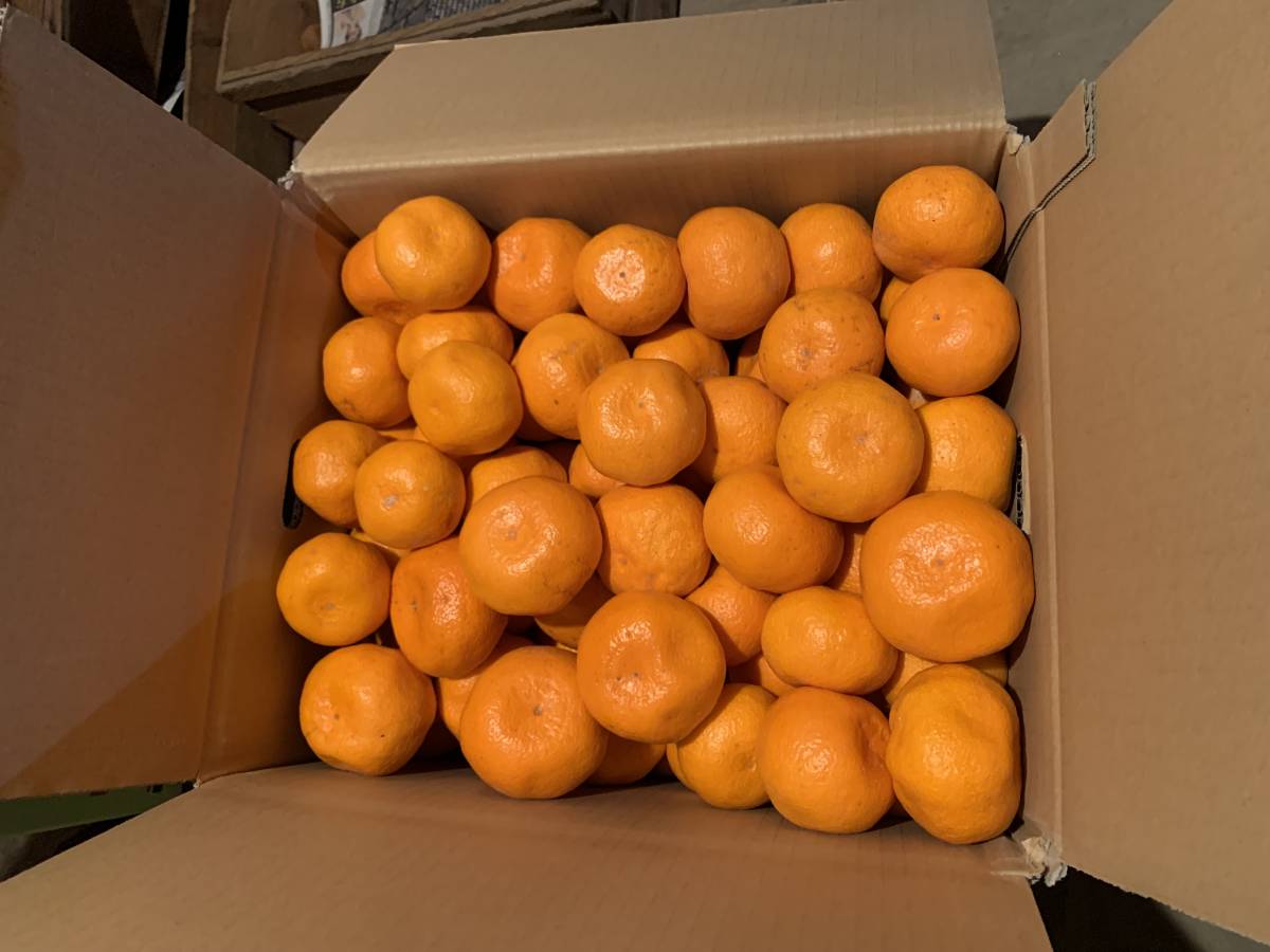 g1049664234.4