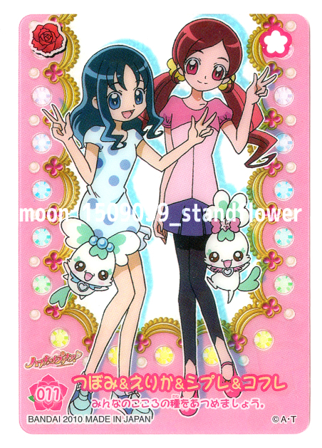 ハートキャッチプリキュア☆プラカード☆花咲つぼみ＆来海えりか 011