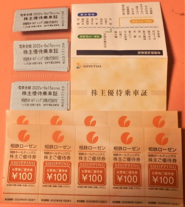相模鉄道 株主優待乗車証 18枚 2022年6月15日まで。買い物優待券１０枚
