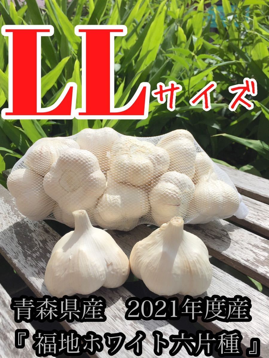 令和5年青森県産 乾燥にんにく 福地ホワイト六片 2L 10kg 