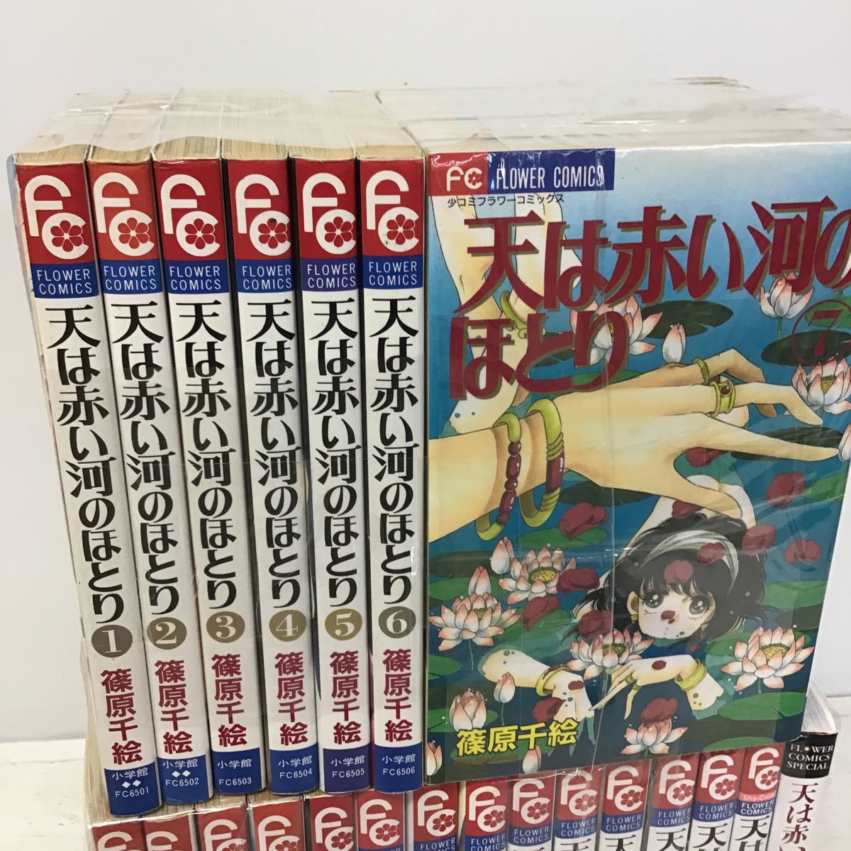 天は赤い河のほとり | 篠原千絵 (フラワーコミックス) 全巻セット |本 