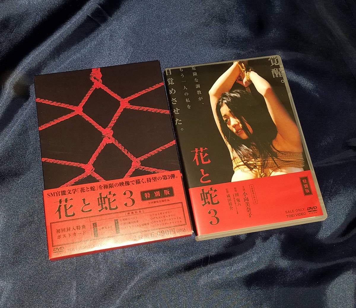 花と蛇3 原作／団鬼六 小向美奈子 水谷ケイ 火野正平 初回限定2枚組 