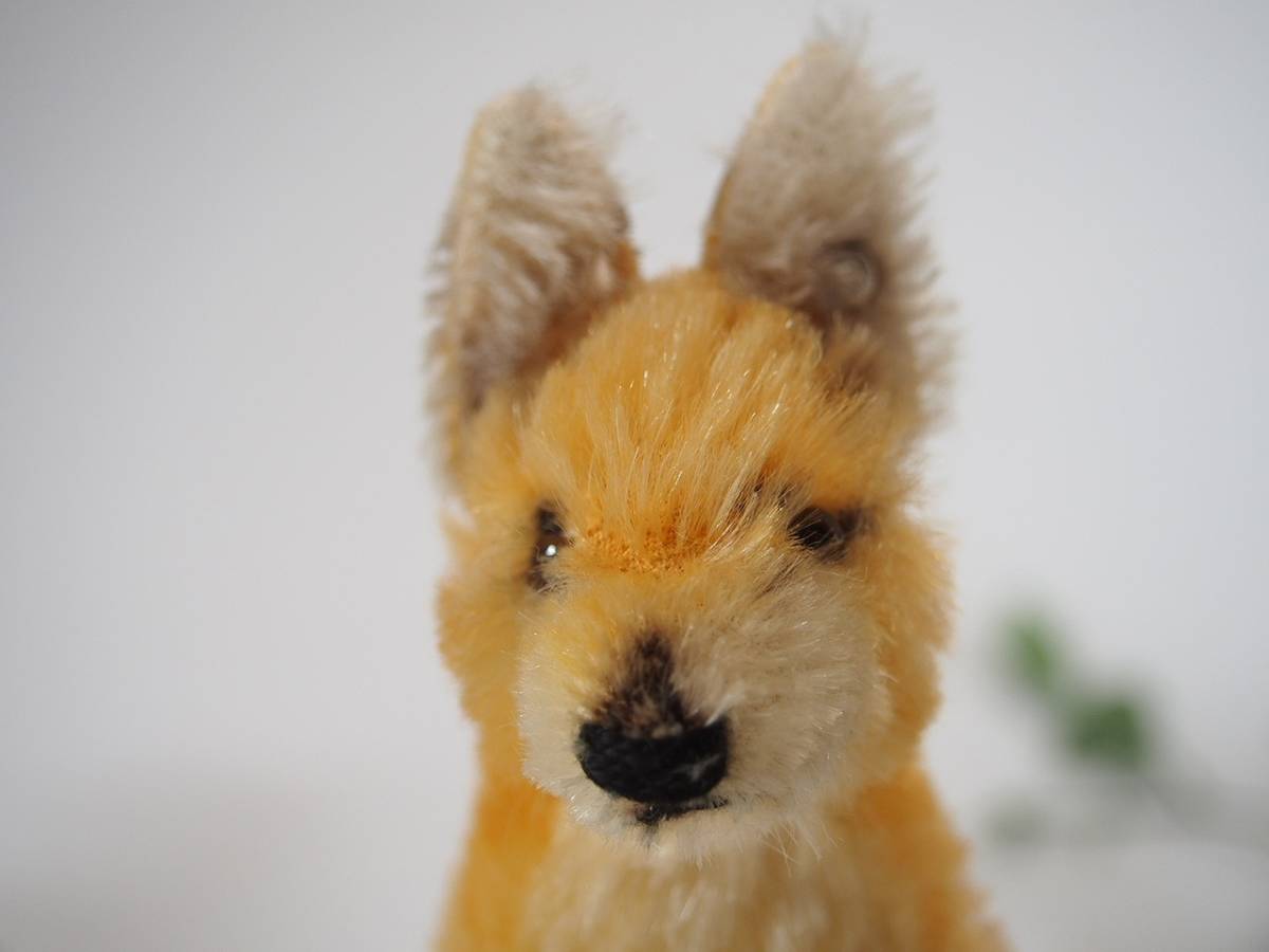 送料無料☆シュタイフ☆Desert Fox Xorry 12cm☆砂漠キツネのゾリー