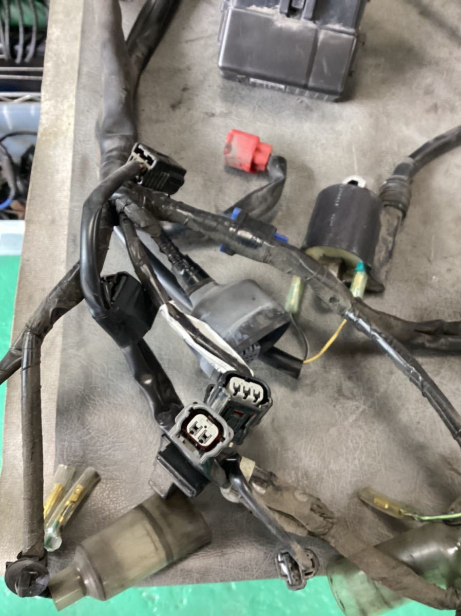 HONDA タクト50 AF51 メインハーネス ホンダ : AUTO