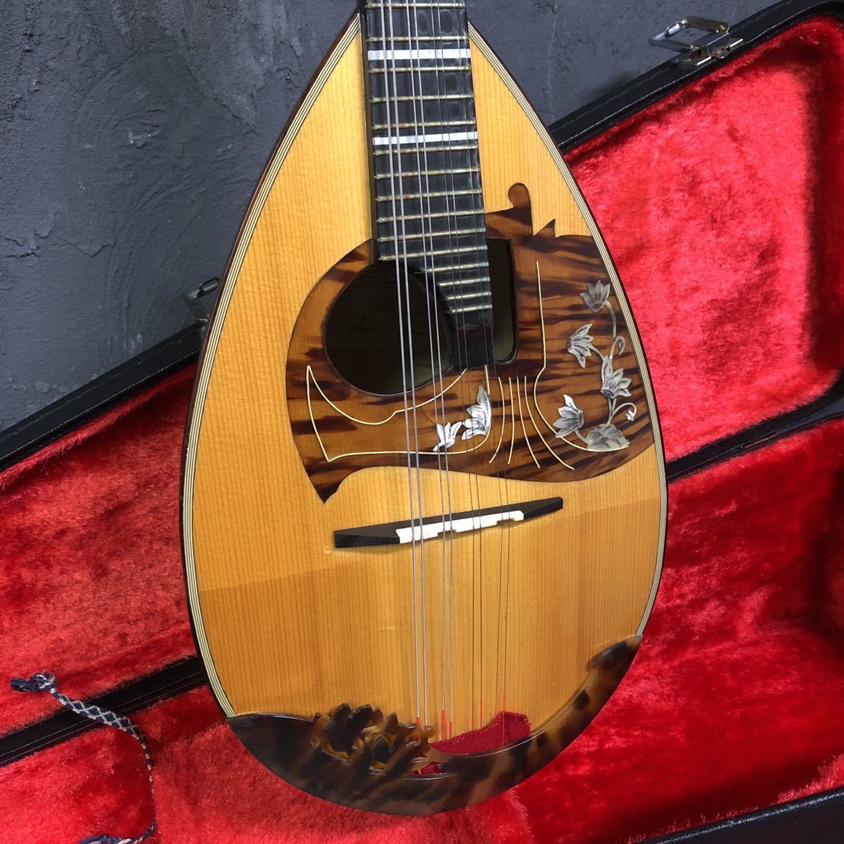 (Ia-1 Mi) RAFFAELE CALACE & FIGLIO NAPOLI TYPE 15 マンドリン ラファエレ Anno 1994(BST14) Calace Raffaele Mandolin stream available sale