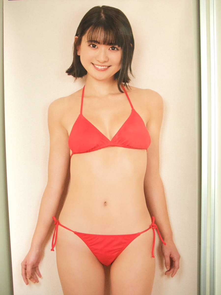 山田南実 等身大ポスター : アサ芸シークレット - アサ芸Secret! Vol