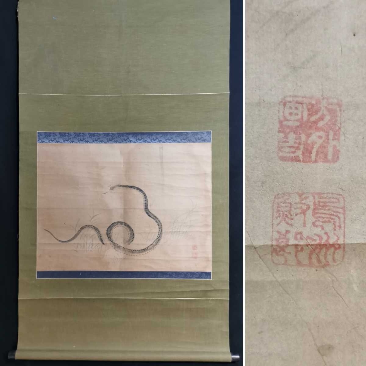 門八】□金井烏洲□［蛇図］掛軸 紙本 肉筆 鳥獣 日本画 江戸時代後期
