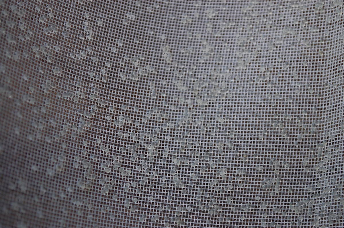 c1064851269.1