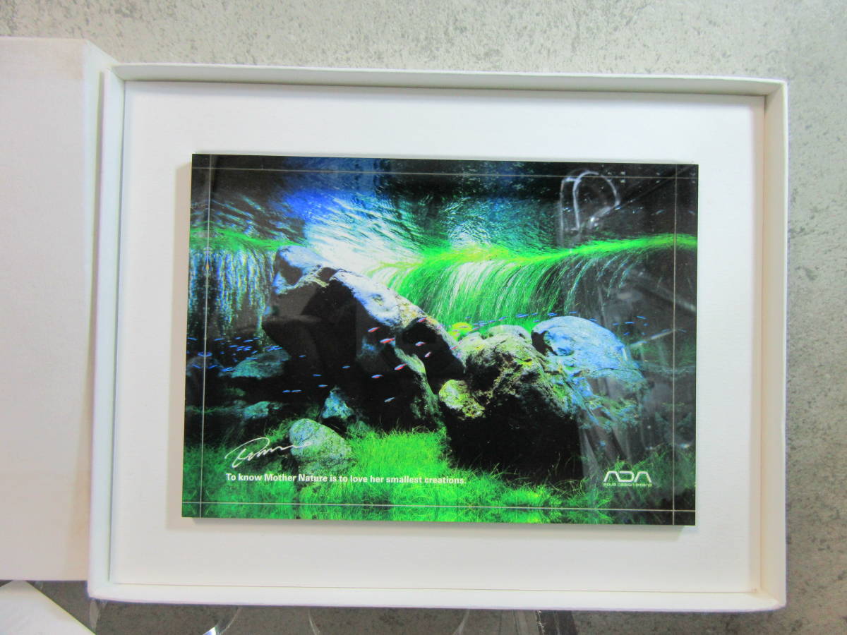 送料無料】ADA アクリルフォト (大) 石組 W148mm×D25mm×H105mm ADA