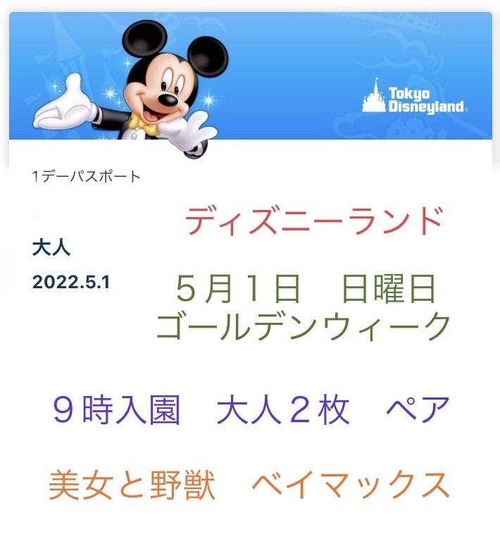 トになりま ヤフオク ディズニーランド ５月２９日 日曜日 ９時入園 アトラクシ