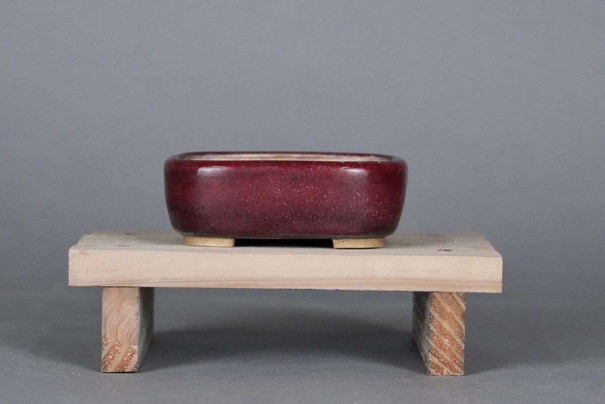 盆栽鉢黎鳳造 盆栽 鉢 黎鳳 幅47.4cm Yahoo!オークション - 「黎鳳 