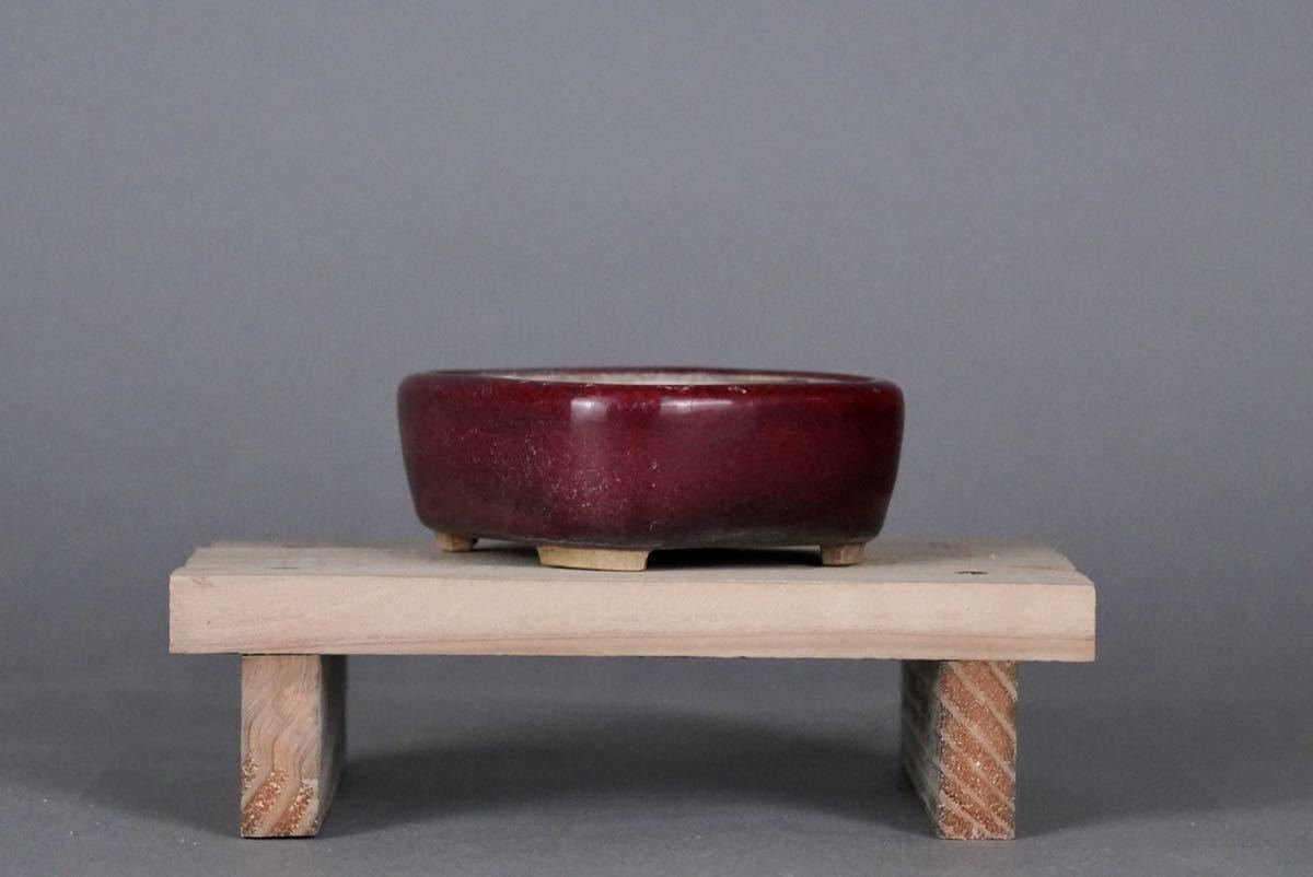 三秀福峰 植木鉢 盆栽鉢 小品盆栽鉢 物故作家 時代付 三秀福峰 鶏血釉 楕円鉢