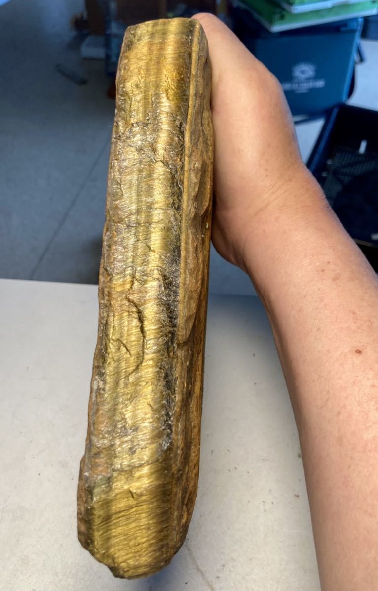 アフリカ産超巨石天然タイガーアイ原石3.06kg(巨大虎目石)(原石)｜売買 