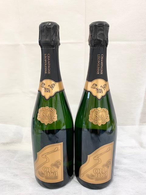 大得価，100%新品 未開栓 大黒屋 ソウメイ ブリュット Soumei BRUT 2本セット シャンパン CHAMPAGNE 750ml 12.5％ 法人 業者取引不可(シャンパーニュ)｜売買されたオークション情報、yahooの商品情報をアーカイブ公開 - スパークリング