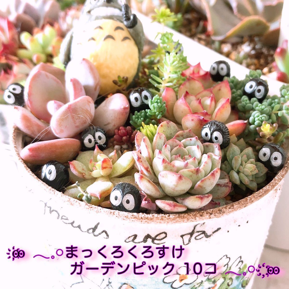 まっくろくろすけ ガーデンピック 10個セット ハンドメイド 苔テラリウム アクアリウム フィギュア 多肉植物 ガーデニング サボテン 売買されたオークション情報 Yahooの商品情報をアーカイブ公開 オークファン Aucfan Com