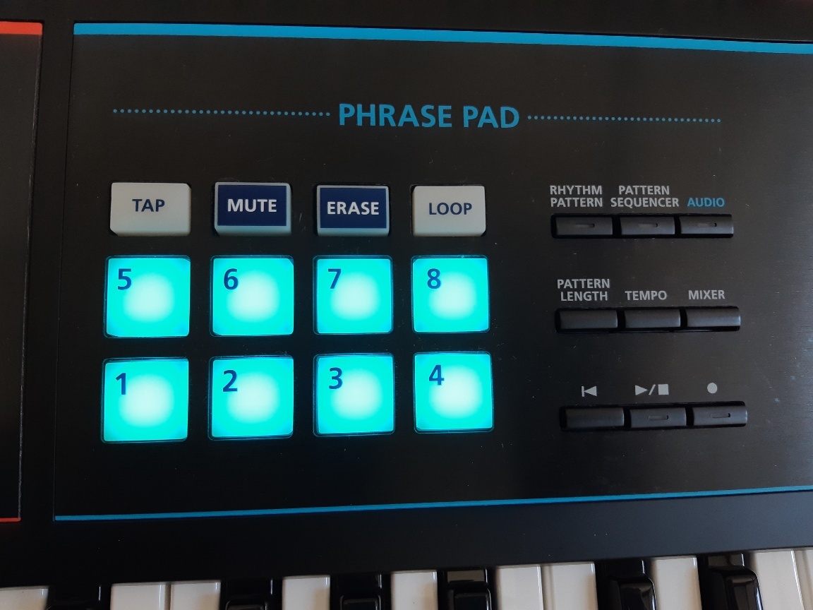 ローランドシンセサイザー JUNO-DS 61 ACアダプター+フットペダル+