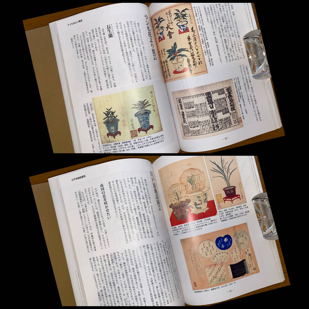 稀少本一般流通なし限定500部 大江戸花競べ 四季のいろどり 盆栽鉢 植木鉢 富貴蘭 長生蘭 桜草 浮世絵 東洋蘭 万年青 南天 多肉植物 鉢 売買されたオークション情報 Yahooの商品情報をアーカイブ公開 オークファン Aucfan Com