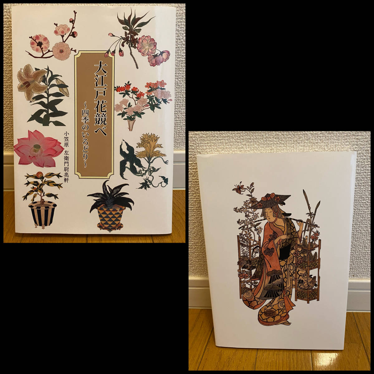 稀少本一般流通なし限定500部 大江戸花競べ 四季のいろどり 盆栽鉢 植木鉢 富貴蘭 長生蘭 桜草 浮世絵 東洋蘭 万年青 南天 多肉植物 鉢 売買されたオークション情報 Yahooの商品情報をアーカイブ公開 オークファン Aucfan Com