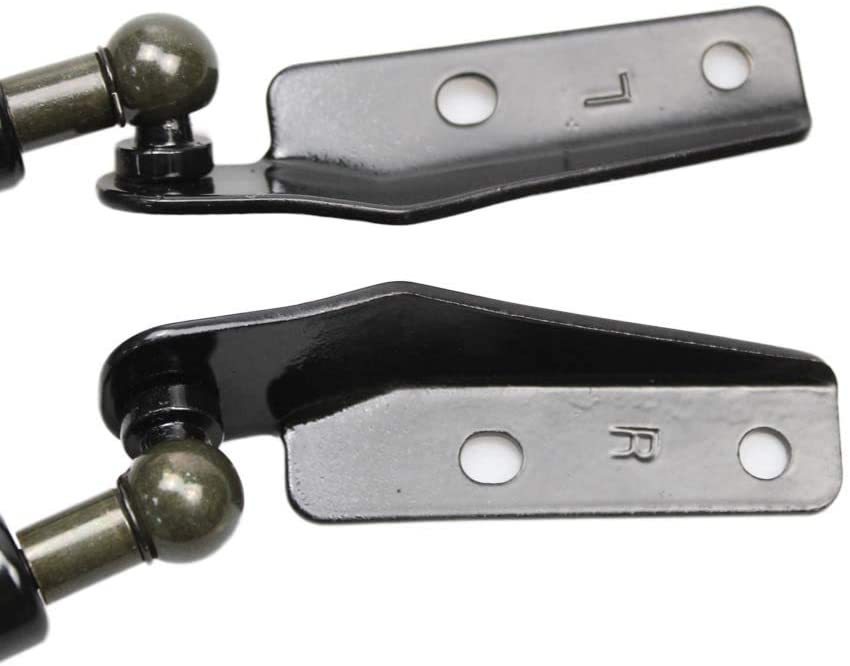 r1050561681.2