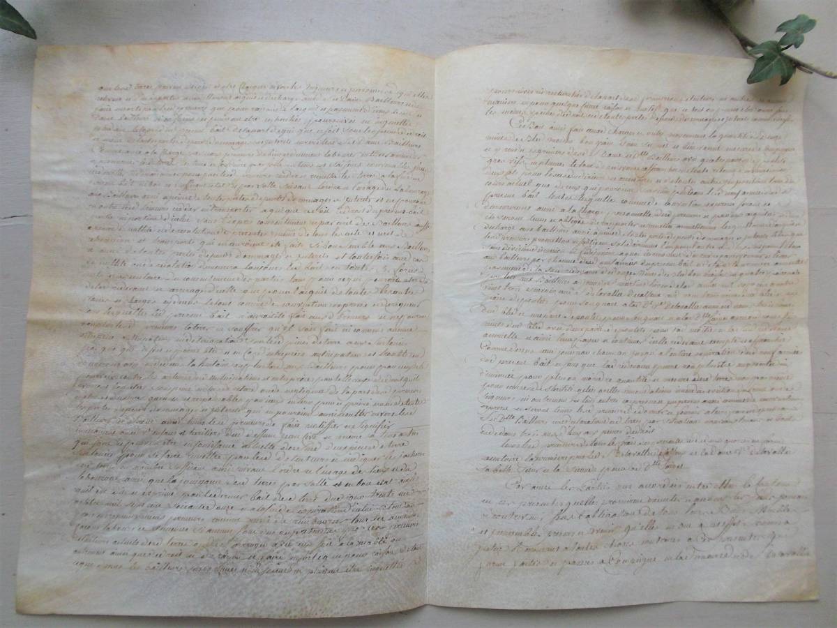 フランスアンティーク□18世紀の羊皮紙 公文書 古い紙 1780年 フランス