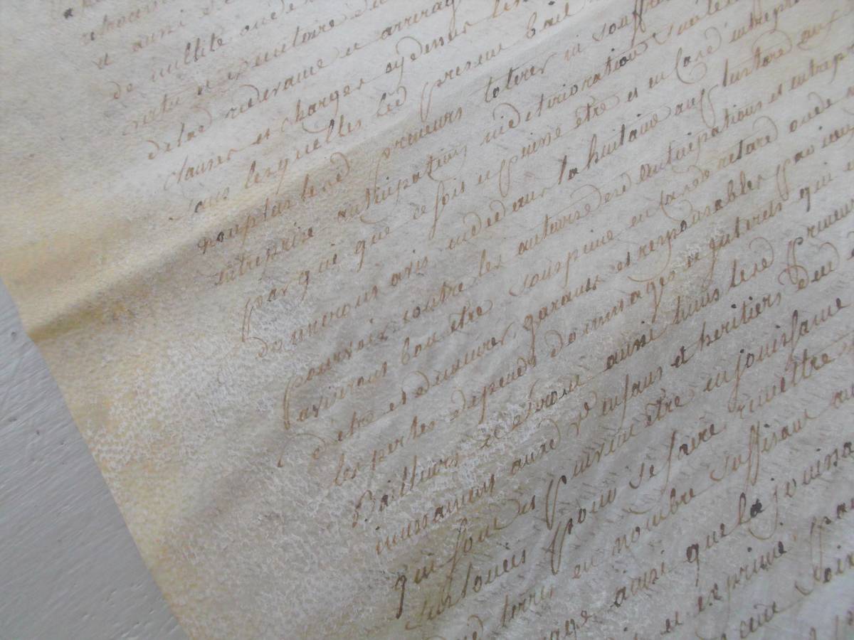 18世紀 羊皮紙に描かれた古文書 アンティーク・フランス雑貨店_