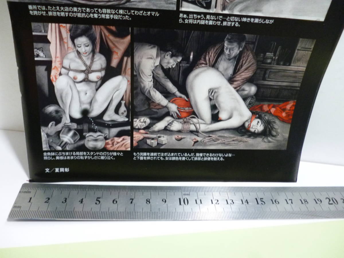 雑誌 イラスト 切抜き ページ 官能絵師 小妻容子 山崎無平 前田寿安 桐丘裕詩 林月光 Sm小説 挿絵画家 裸婦 荒縄 女たち 性 妾 乳房 奥方の質問一覧