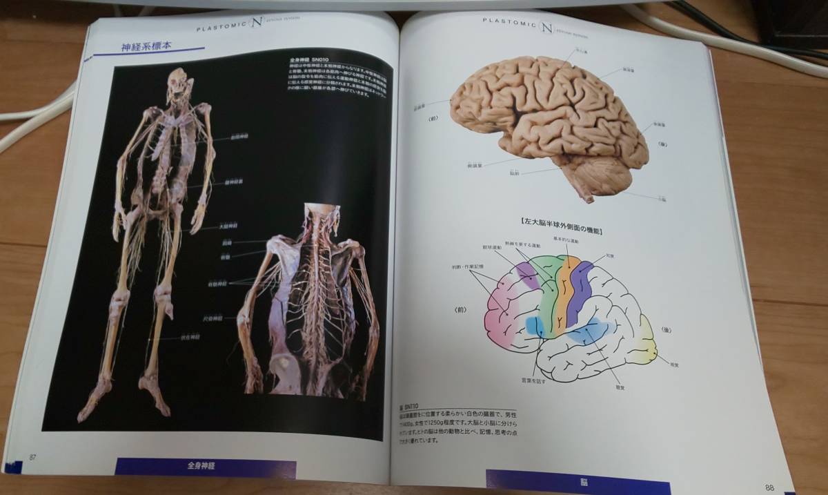 新 人体の不思議展 医学一般 売買されたオークション情報 Yahooの商品情報をアーカイブ公開 オークファン Aucfan Com